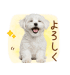 ゆるかわ！わんこ達の日常スタンプ（個別スタンプ：29）