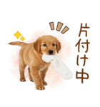 ゆるかわ！わんこ達の日常スタンプ（個別スタンプ：33）