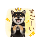 ゆるかわ！わんこ達の日常スタンプ（個別スタンプ：38）