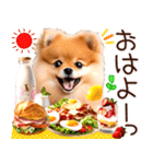 ポメたん❤️わんだふるらいふ（個別スタンプ：1）