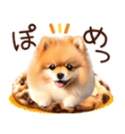 ポメたん❤️わんだふるらいふ（個別スタンプ：5）