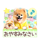 ポメたん❤️わんだふるらいふ（個別スタンプ：7）
