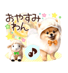 ポメたん❤️わんだふるらいふ（個別スタンプ：8）