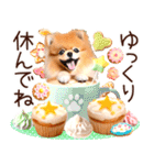ポメたん❤️わんだふるらいふ（個別スタンプ：12）
