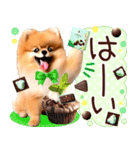 ポメたん❤️わんだふるらいふ（個別スタンプ：14）