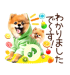 ポメたん❤️わんだふるらいふ（個別スタンプ：16）