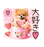 ポメたん❤️わんだふるらいふ（個別スタンプ：23）