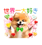 ポメたん❤️わんだふるらいふ（個別スタンプ：24）