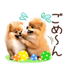 ポメたん❤️わんだふるらいふ（個別スタンプ：28）
