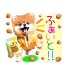 ポメたん❤️わんだふるらいふ（個別スタンプ：34）