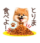 ポメたん❤️わんだふるらいふ（個別スタンプ：35）
