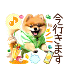 ポメたん❤️わんだふるらいふ（個別スタンプ：37）