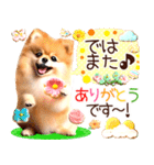 ポメたん❤️わんだふるらいふ（個別スタンプ：39）