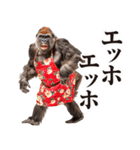 毋ゴリラ【リアクション】（個別スタンプ：1）
