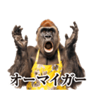 毋ゴリラ【リアクション】（個別スタンプ：2）