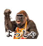 毋ゴリラ【リアクション】（個別スタンプ：4）