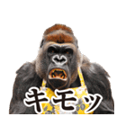 毋ゴリラ【リアクション】（個別スタンプ：5）
