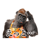 毋ゴリラ【リアクション】（個別スタンプ：6）
