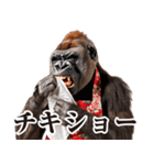 毋ゴリラ【リアクション】（個別スタンプ：7）