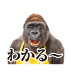 毋ゴリラ【リアクション】（個別スタンプ：10）