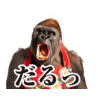 毋ゴリラ【リアクション】（個別スタンプ：11）