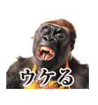 毋ゴリラ【リアクション】（個別スタンプ：18）