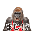 毋ゴリラ【リアクション】（個別スタンプ：19）
