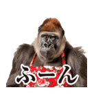 毋ゴリラ【リアクション】（個別スタンプ：23）