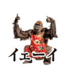 毋ゴリラ【リアクション】（個別スタンプ：24）