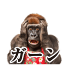 毋ゴリラ【リアクション】（個別スタンプ：30）