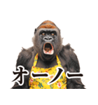 毋ゴリラ【リアクション】（個別スタンプ：31）