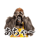 毋ゴリラ【リアクション】（個別スタンプ：34）