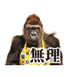 毋ゴリラ【リアクション】（個別スタンプ：36）
