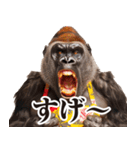 毋ゴリラ【リアクション】（個別スタンプ：38）