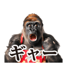 毋ゴリラ【リアクション】（個別スタンプ：40）