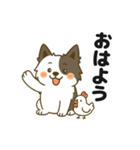 ほのぼのボーダーコリー パクチー（個別スタンプ：1）