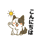 ほのぼのボーダーコリー パクチー（個別スタンプ：2）