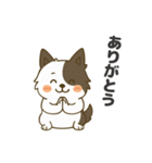 ほのぼのボーダーコリー パクチー（個別スタンプ：5）