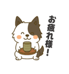 ほのぼのボーダーコリー パクチー（個別スタンプ：8）