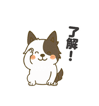 ほのぼのボーダーコリー パクチー（個別スタンプ：9）