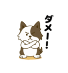ほのぼのボーダーコリー パクチー（個別スタンプ：12）