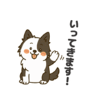 ほのぼのボーダーコリー パクチー（個別スタンプ：13）
