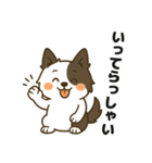 ほのぼのボーダーコリー パクチー（個別スタンプ：14）