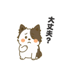 ほのぼのボーダーコリー パクチー（個別スタンプ：17）