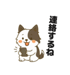 ほのぼのボーダーコリー パクチー（個別スタンプ：19）