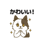 ほのぼのボーダーコリー パクチー（個別スタンプ：20）