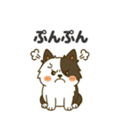 ほのぼのボーダーコリー パクチー（個別スタンプ：25）