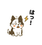 ほのぼのボーダーコリー パクチー（個別スタンプ：27）