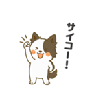 ほのぼのボーダーコリー パクチー（個別スタンプ：28）
