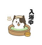 ほのぼのボーダーコリー パクチー（個別スタンプ：30）